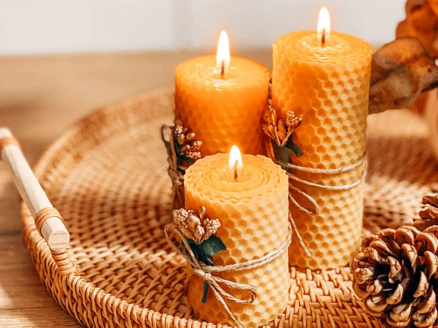 Pros and Cons of Beeswax Candles, we review the facts